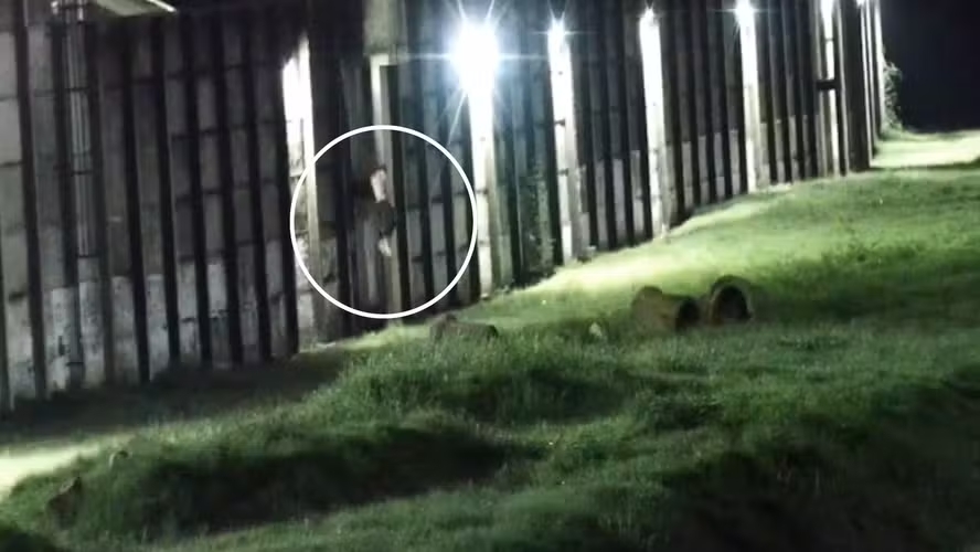 presos-tentam-fugir-de-presidio-no-rj-durante-a-madrugada-e-sao-capturados