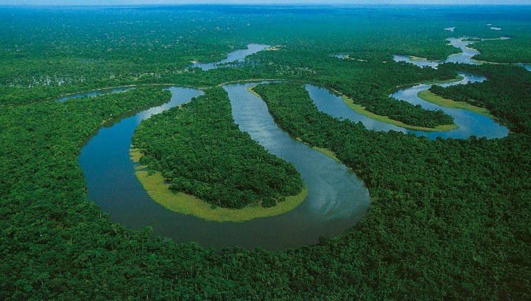 governo-lanca-edital-para-combater-desmatamento-na-amazonia