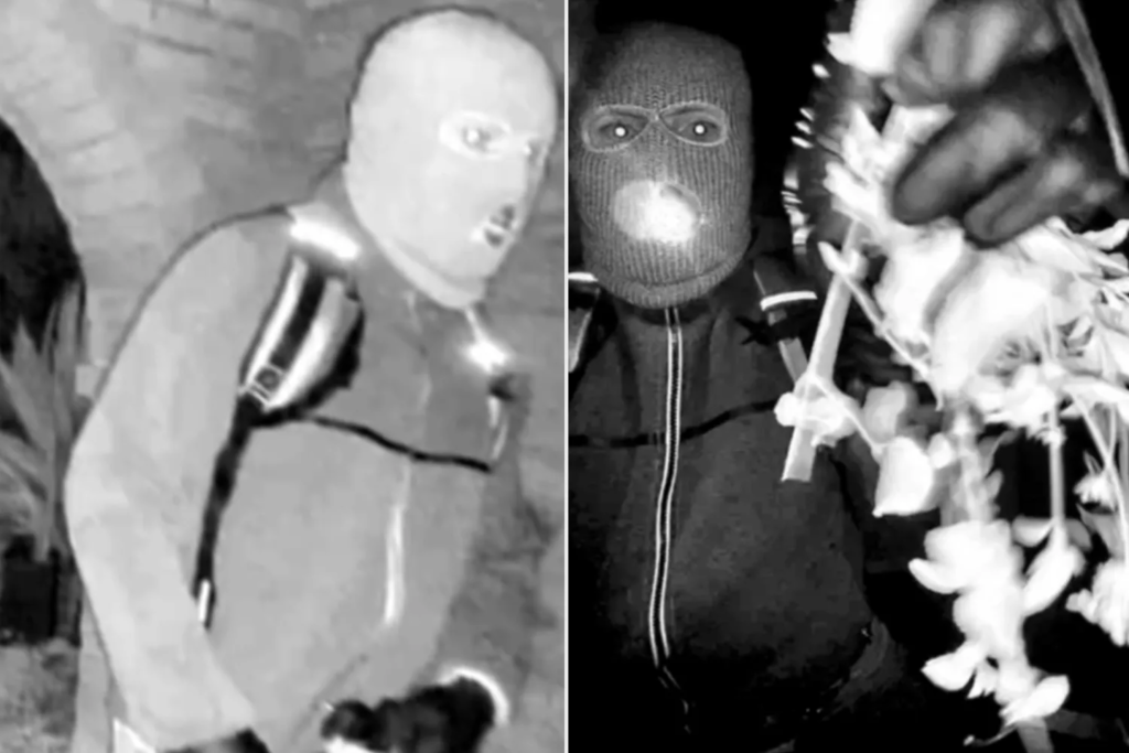 fbi-divulga-imagens-de-homem-mascarado-que-teria-sequestrado-mae-de-apresentadora-nos-eua