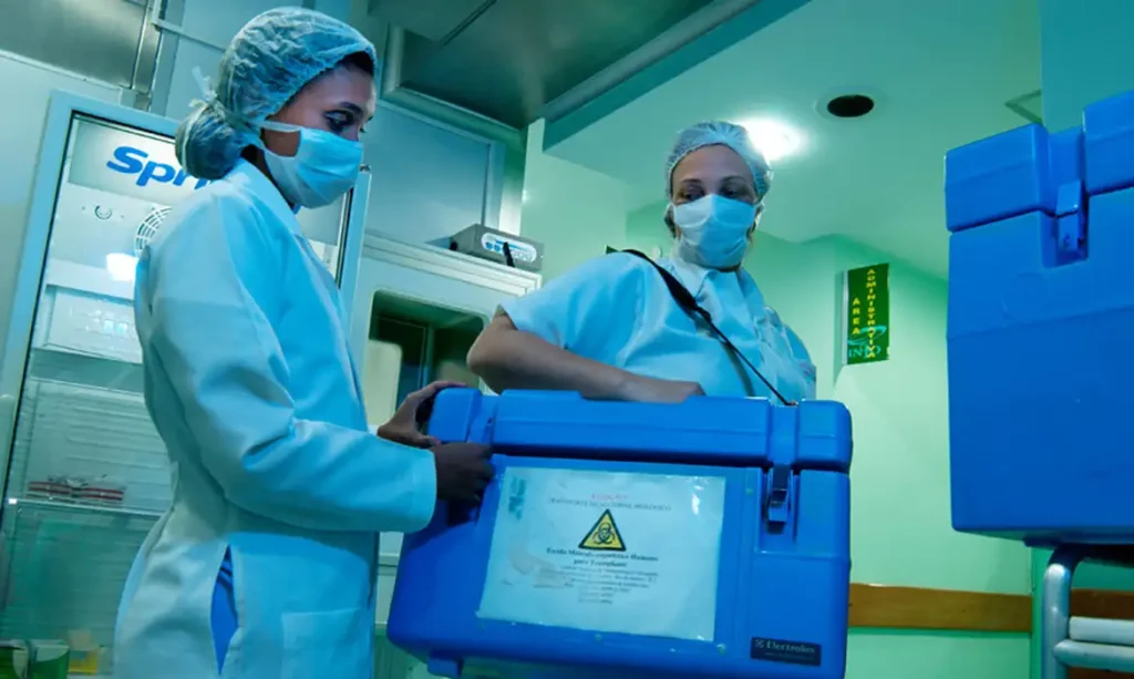 brasil-atinge-recorde-de-31-mil-transplantes-em-2025