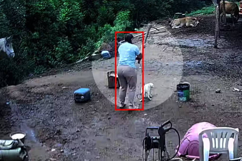 mulher-e-investigada-por-matar-cachorro-com-picareta-em-porto-alegre