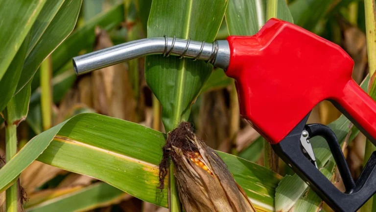 governo-projeta-aumento-da-mistura-de-biodiesel-ate-final-do-ano