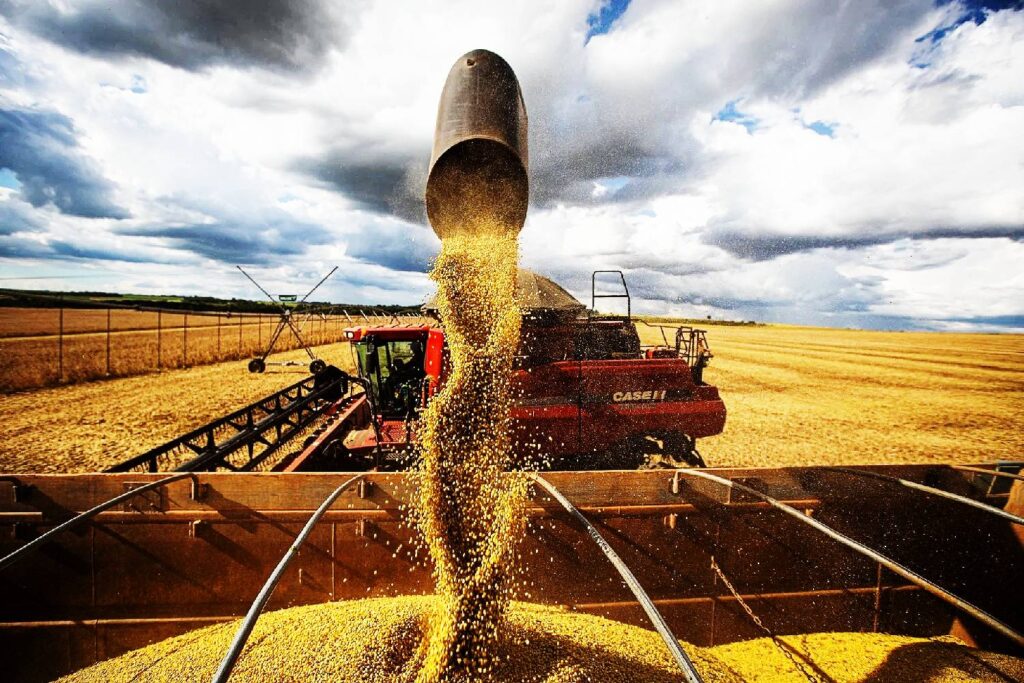 governo-vai-flexibilizar-regra-de-fundo-voltado-a-inovacao-para-liberar-credito-ao-agro