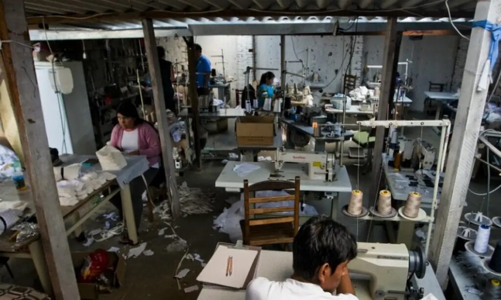 mg-resgata-5,6-mil-em-trabalho-analogo-a-escravidao-em-13-anos