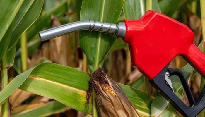 governo-projeta-aumento-da-mistura-de-biodiesel-ate-final-do-ano