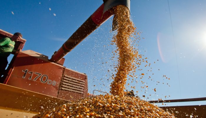 precos-dos-produtos-agropecuarios-sobem-0,97%-em-abril-dentro-do-igp-di,-afirma-fgv
