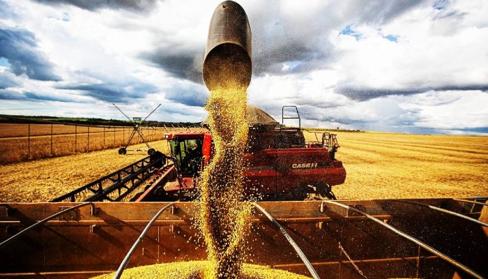 governo-vai-flexibilizar-regra-de-fundo-voltado-a-inovacao-para-liberar-credito-ao-agro