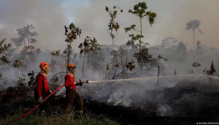 el-nino-provavelmente-estara-‘entre-os-maiores’-ja-registrados,-diz-agencia-dos-eua