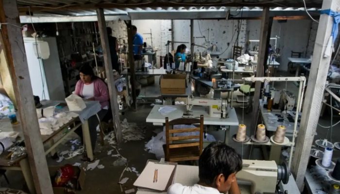 mg-resgata-5,6-mil-em-trabalho-analogo-a-escravidao-em-13-anos