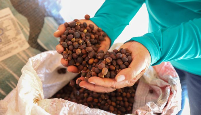exportacoes-de-cafe-do-brasil-caem-em-volume,-mas-receita-bate-recorde-em-2025
