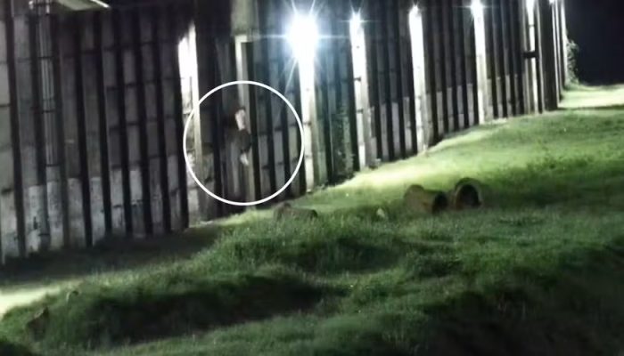 presos-tentam-fugir-de-presidio-no-rj-durante-a-madrugada-e-sao-capturados