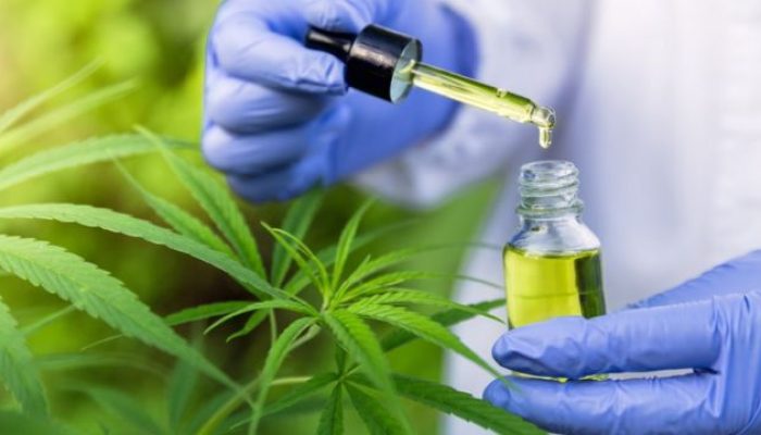 o-que-muda-com-a-nova-regra-da-anvisa-para-o-uso-de-cannabis-medicinal