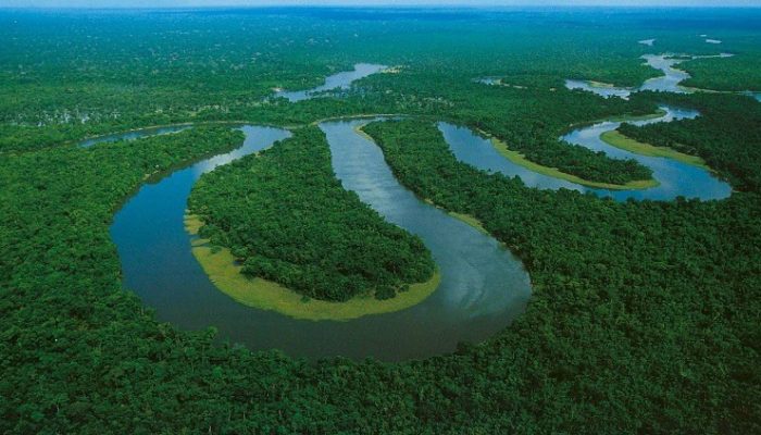 governo-lanca-edital-para-combater-desmatamento-na-amazonia
