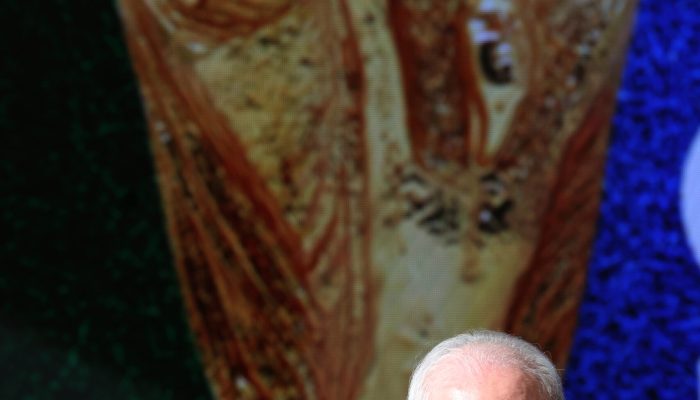 lula-recebe-lideres-mormons-no-palacio-do-planalto