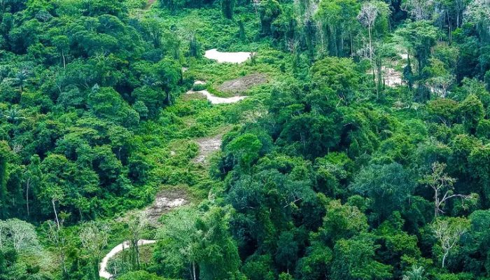 forca-tarefa-contra-coqueluche-soma-mais-de-mil-atendimentos-no-territorio-yanomami