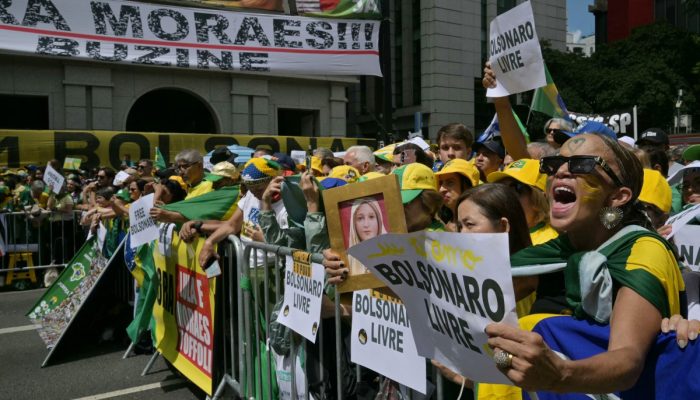 ato-de-bolsonaristas-no-rio-tem-estimativa-de-4,7-mil-pessoas,-aponta-monitor-usp/cebrap