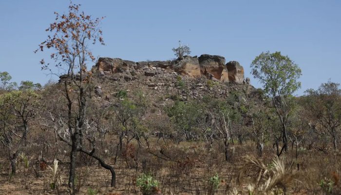 ia-mapeia-terras-agricolas-abandonadas-no-cerrado-para-restauracao
