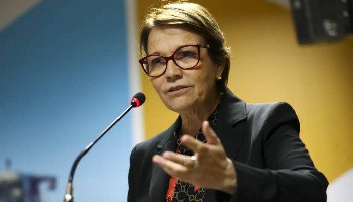 tereza-cristina-e-zema-ganham-forca-para-vice-de-flavio-bolsonaro